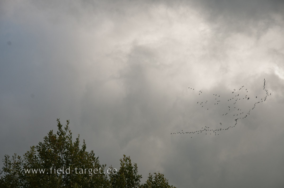 One beautiful September day in Estonia